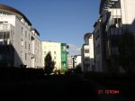 dsc00254.jpg